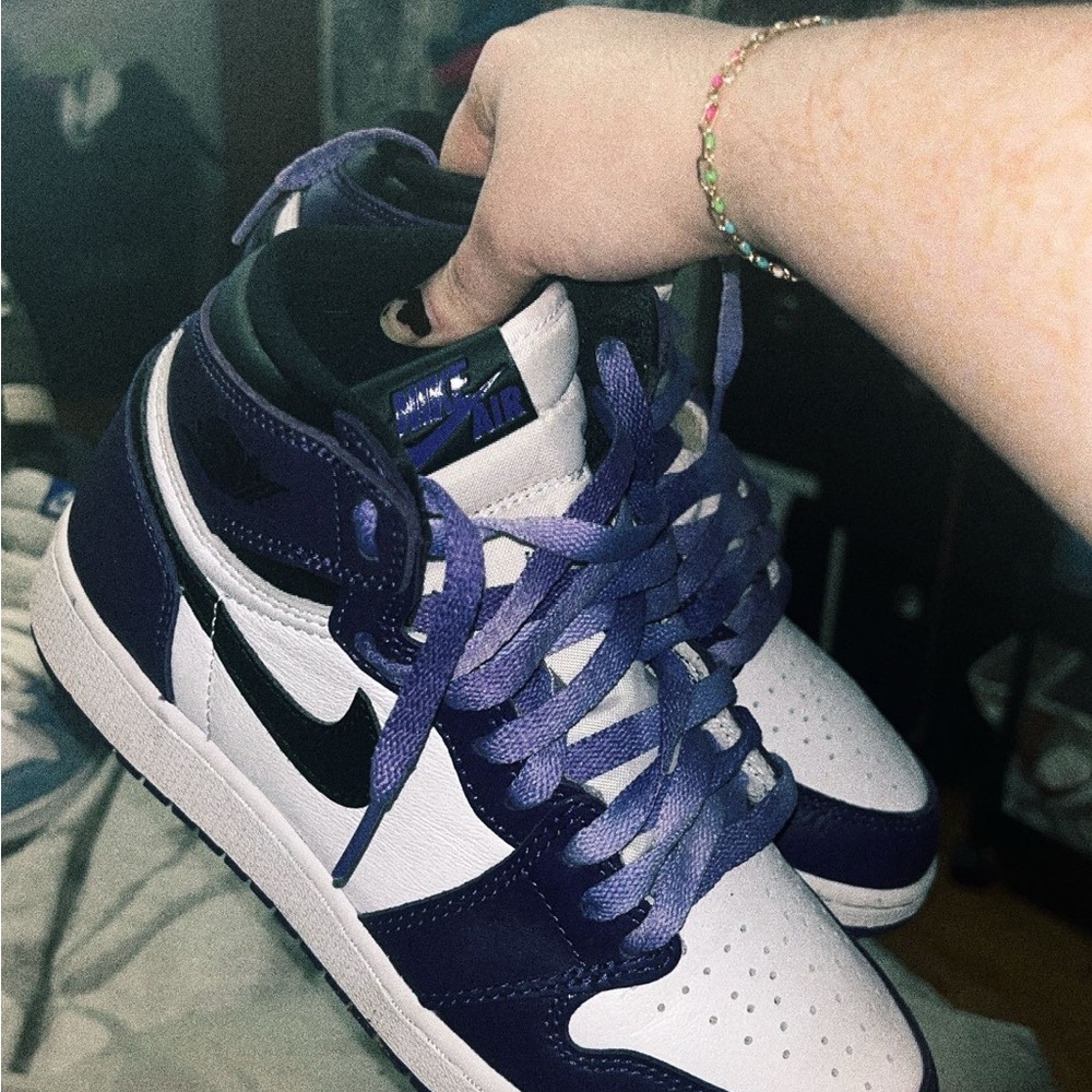 jordan court purple 1s